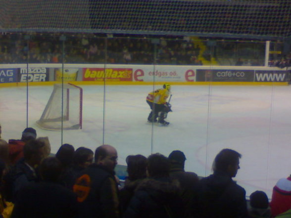 Black Wings Linz : Vienna Capitals - 