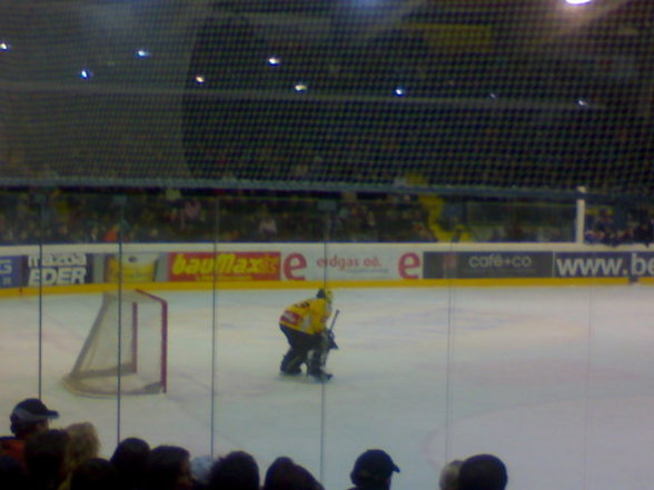 Black Wings Linz : Vienna Capitals - 