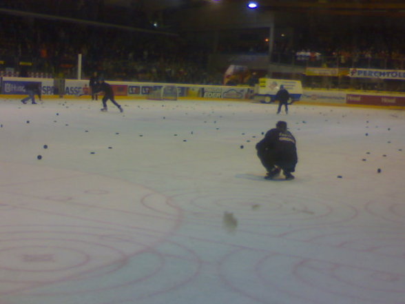 Black Wings Linz : Vienna Capitals - 