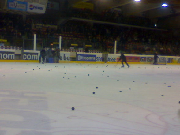 Black Wings Linz : Vienna Capitals - 