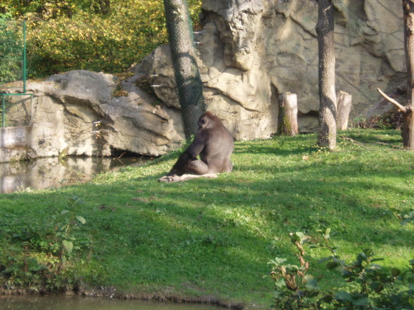 [Tierpark] - 