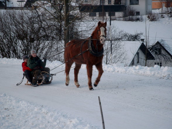 mein pony - 