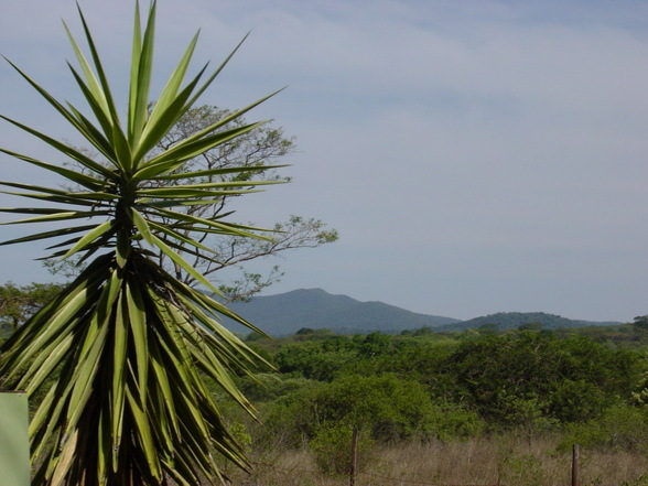 Südafrika + Mozambique 2002 - 