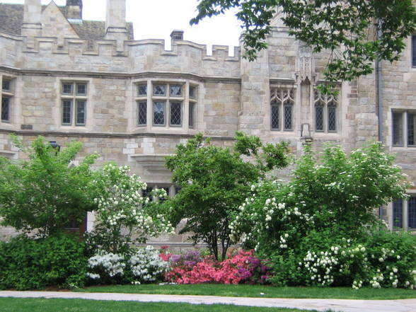 *** Yale University *** - 