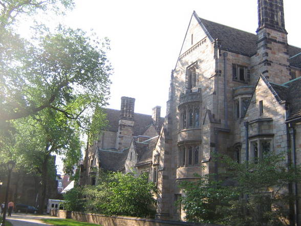 *** Yale University *** - 