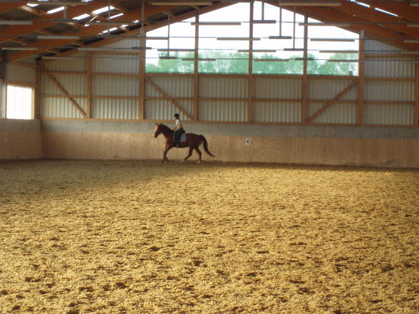 Reiten der Spezialisten - 