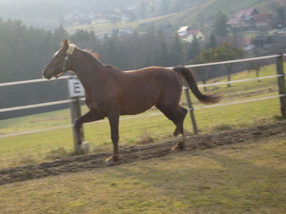 foto 2 - 