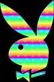 PLAYBOY,D&G,etc - 