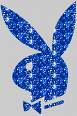 PLAYBOY,D&G,etc - 