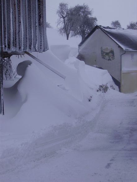 Winter 2009 - 