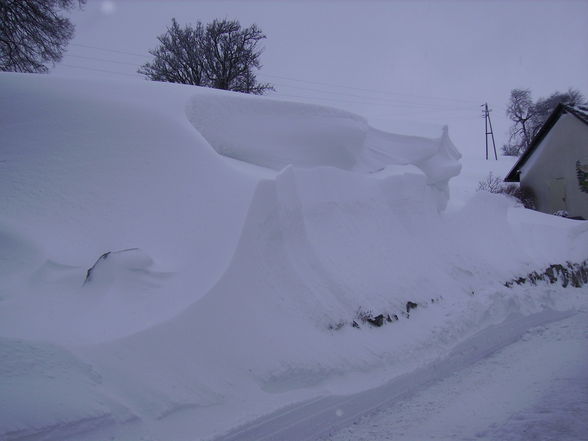 Winter 2009 - 