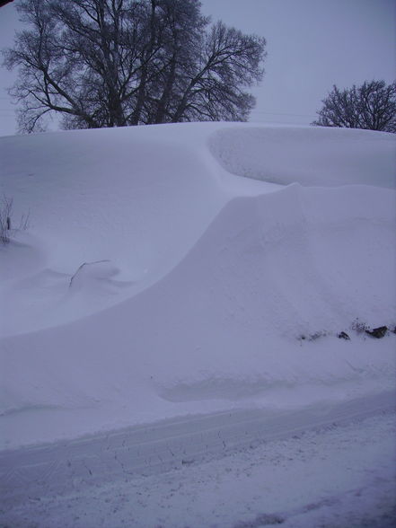 Winter 2009 - 