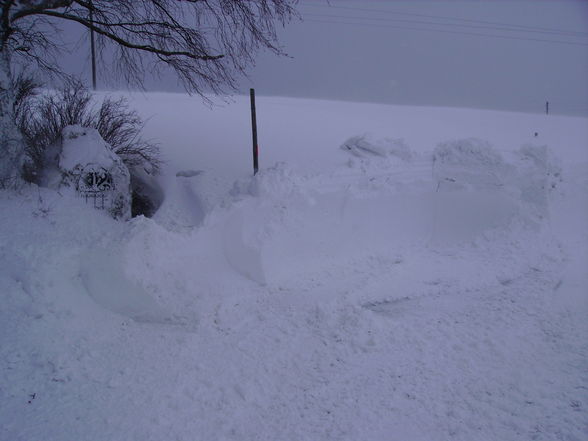Winter 2009 - 