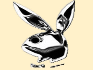 *~ PLAYBOY~* - 