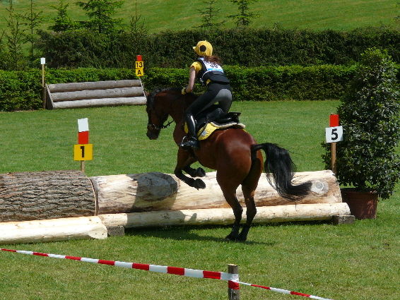 OÖ Meister 2008 - 