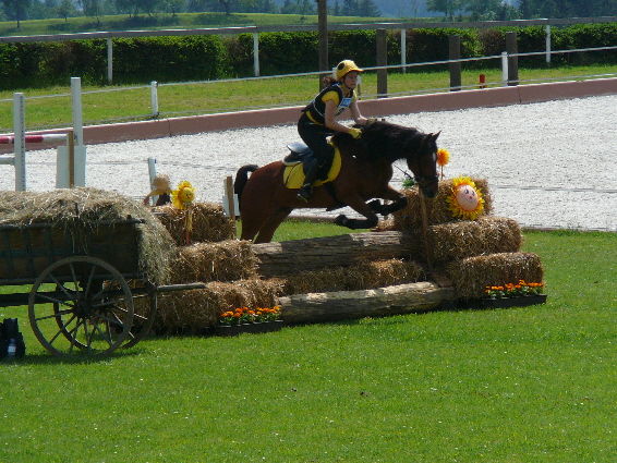 OÖ Meister 2008 - 