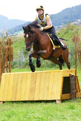 VS Sommerau-Mürzzuschlag - 