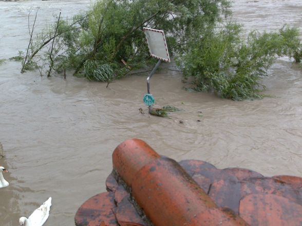 hochwasser 2009^^ - 