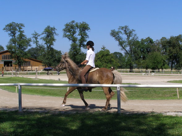 Fotos beim reiten.. :) - 