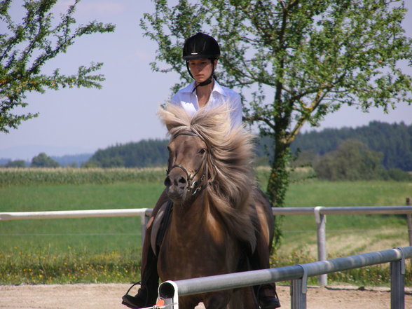 Fotos beim reiten.. :) - 