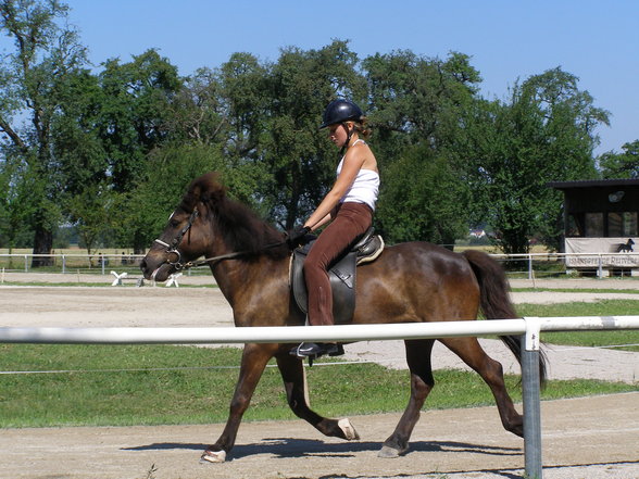 Fotos beim reiten.. :) - 