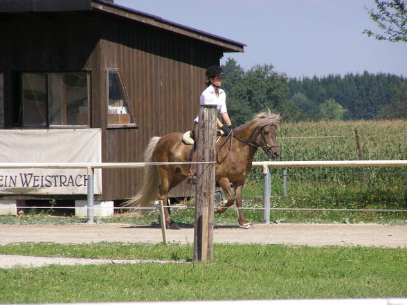 Fotos beim reiten.. :) - 