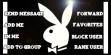 Playboybunnys - 