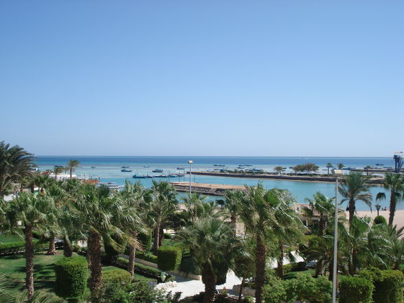 Ägypten (Hurghada) 2008 - 