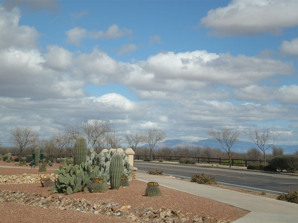 Sahuarita/ Tucson - Arizona - 