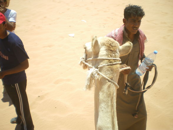 Camel- riding in Rum  - 