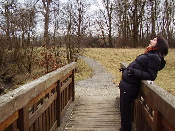 geile frauen --> arschlöcher - 