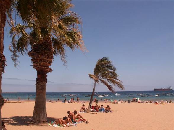 Viva Tenerife - 