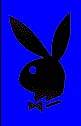 PLAYBOY - 