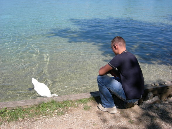 Urlaub am Attersee 2007 - 