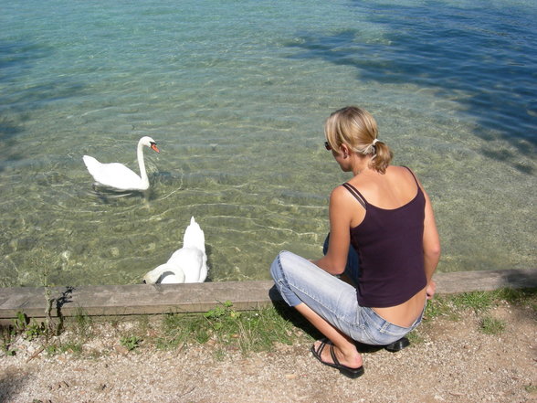 Urlaub am Attersee 2007 - 