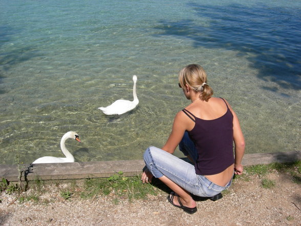 Urlaub am Attersee 2007 - 