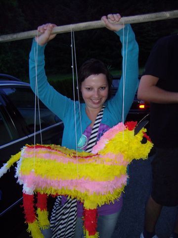 Partyjahr 2009 - 