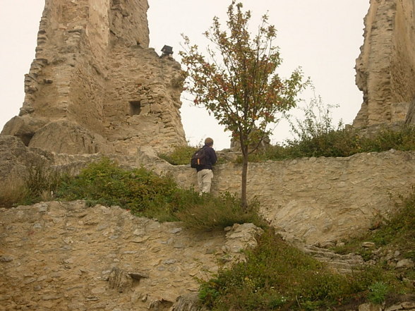 Wachau - 