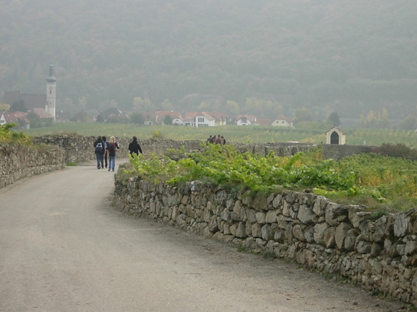 Wachau - 