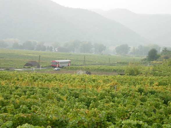 Wachau - 