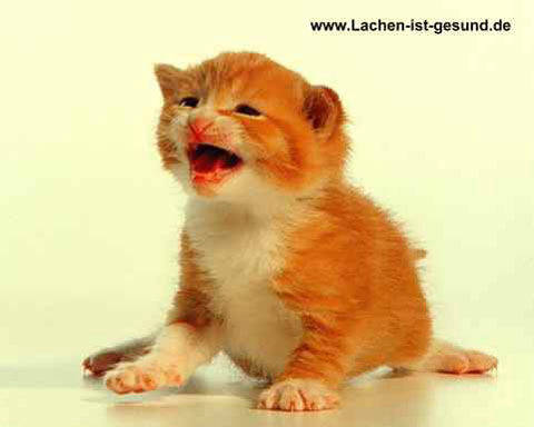 lachen ist gesund - 