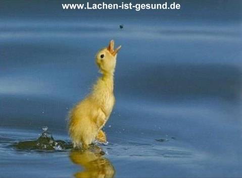 lachen ist gesund - 