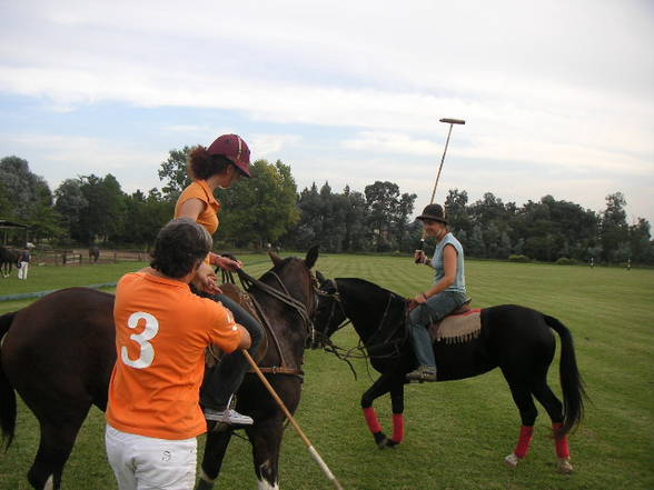 Equitación y Polo - 