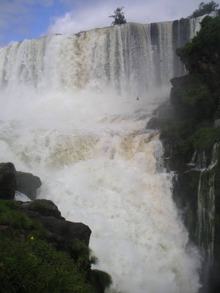 Iguazu - 