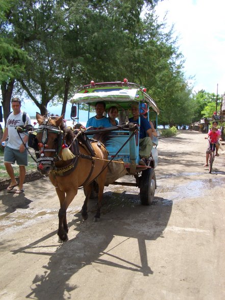 miez auf GILI TRAWANGAN... - 