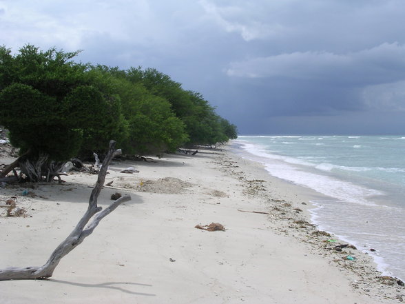 miez auf GILI TRAWANGAN... - 