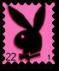 Playboy bunny - 