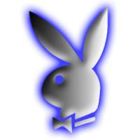 Playboy bunny - 