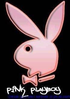 Playboy bunny - 