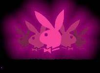 Playboy bunny - 